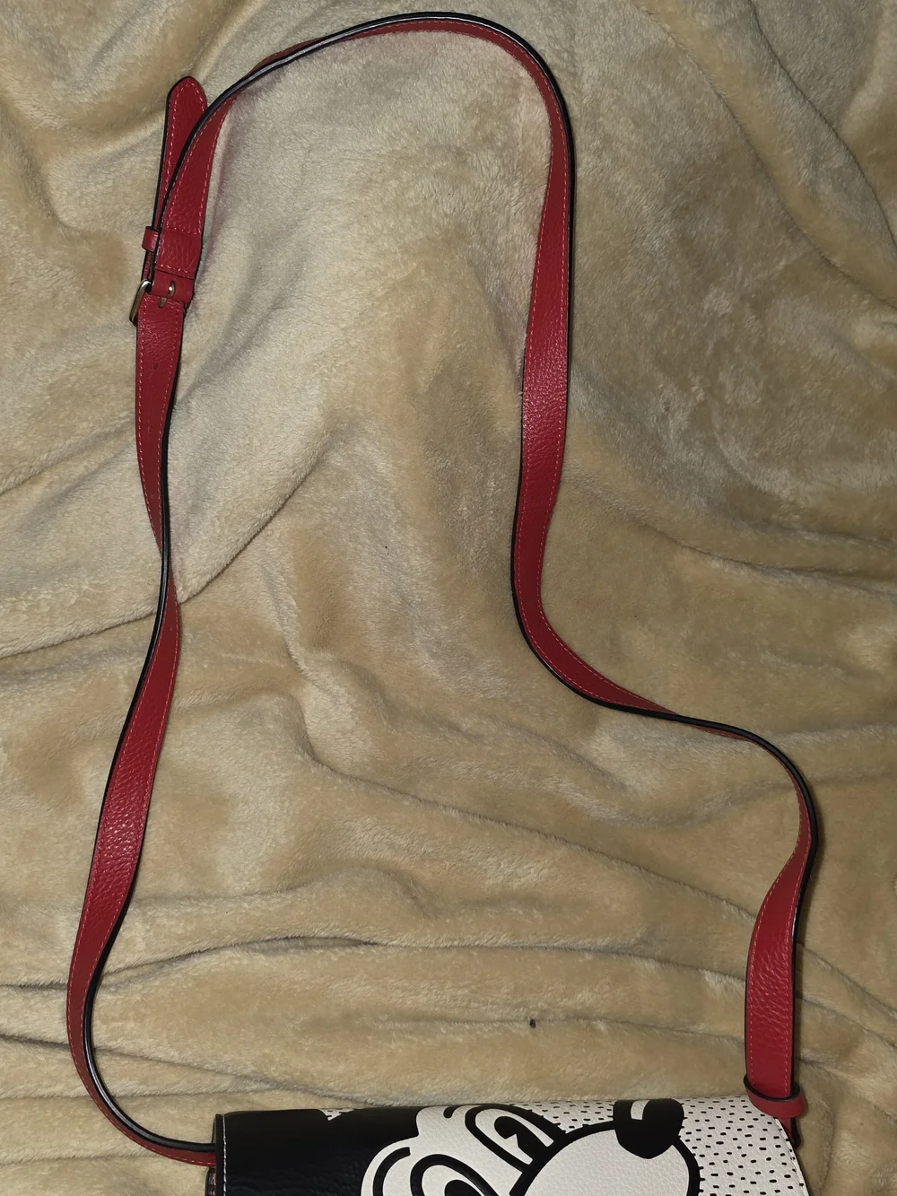 Coach disney leather